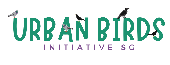 Urban Birds Initiative Singapore